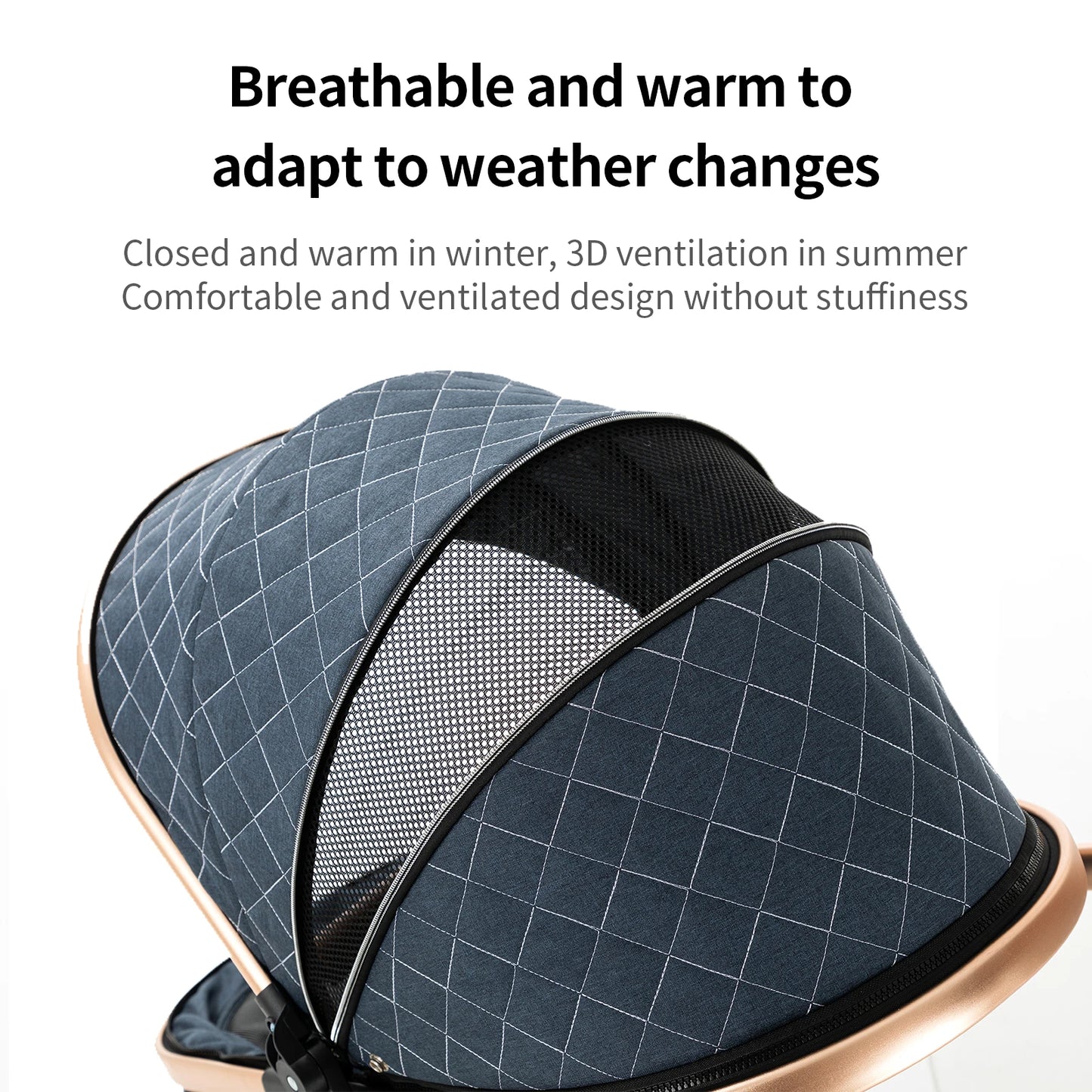Luxury 3 in 1Baby Stroller