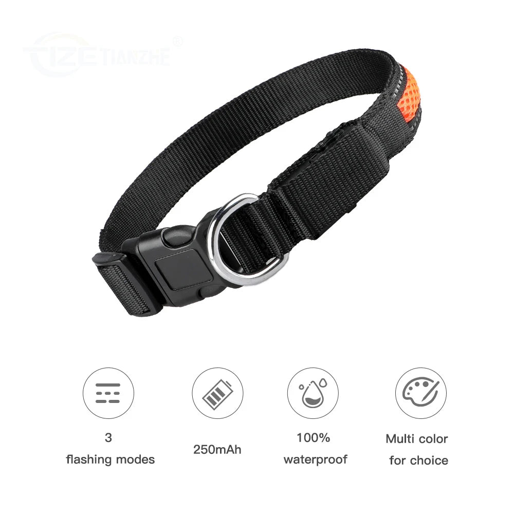 Nylon Dog Collar Night Safety LED Waterproof