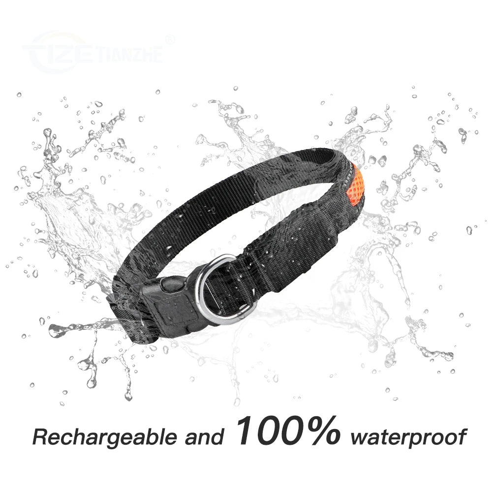 Nylon Dog Collar Night Safety LED Waterproof