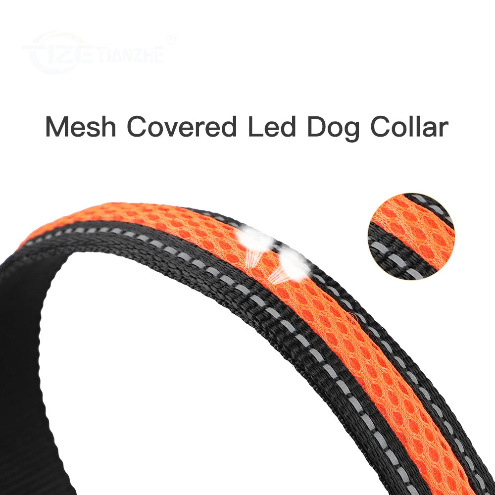 Nylon Dog Collar Night Safety LED Waterproof