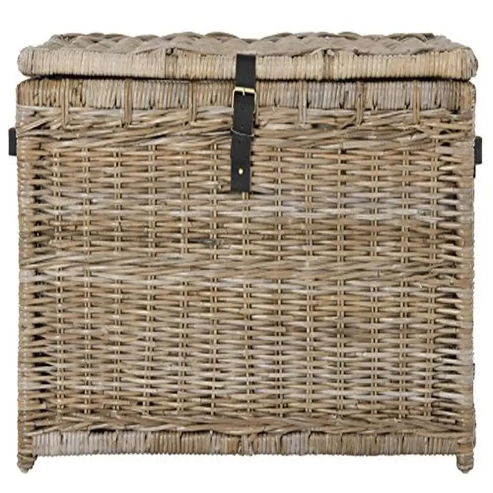 Rattan-Gray Coastal Trunk